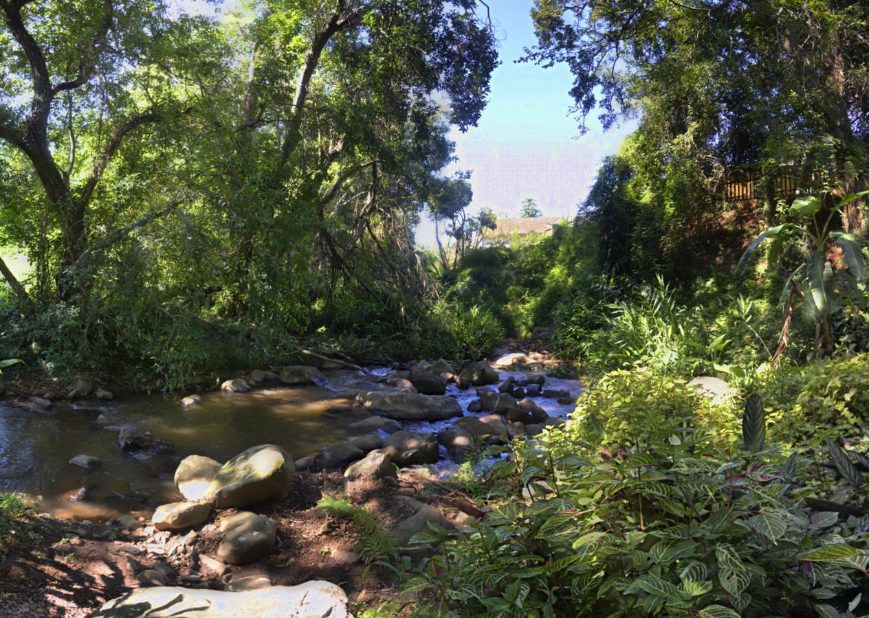 Brevisbrook B&B Pietermaritzburg Extérieur photo